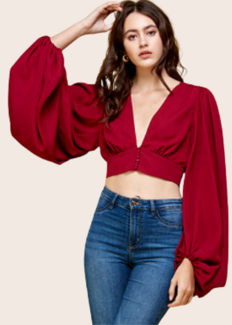 Red Long Sleeve Cropped Deep V Corset Top
